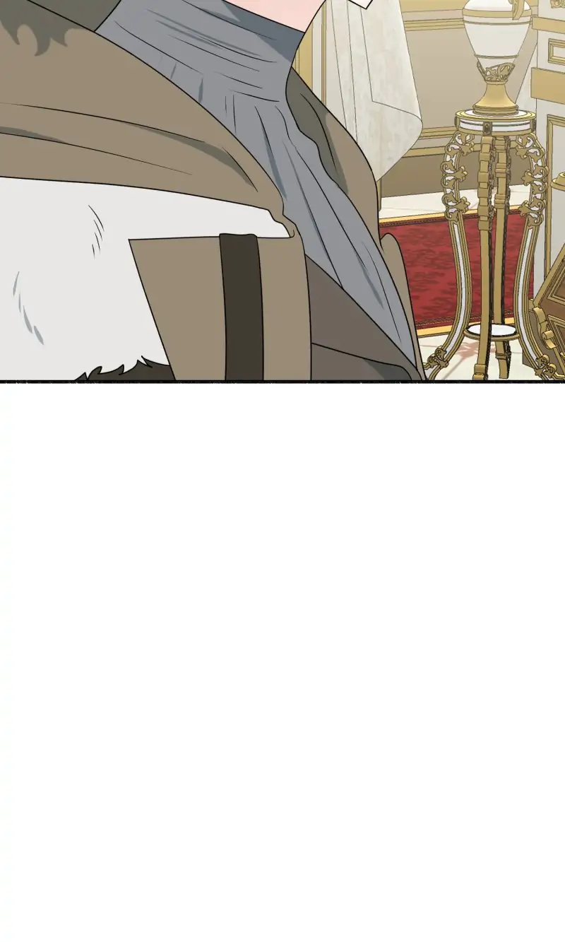 32997444 800 1333 32054